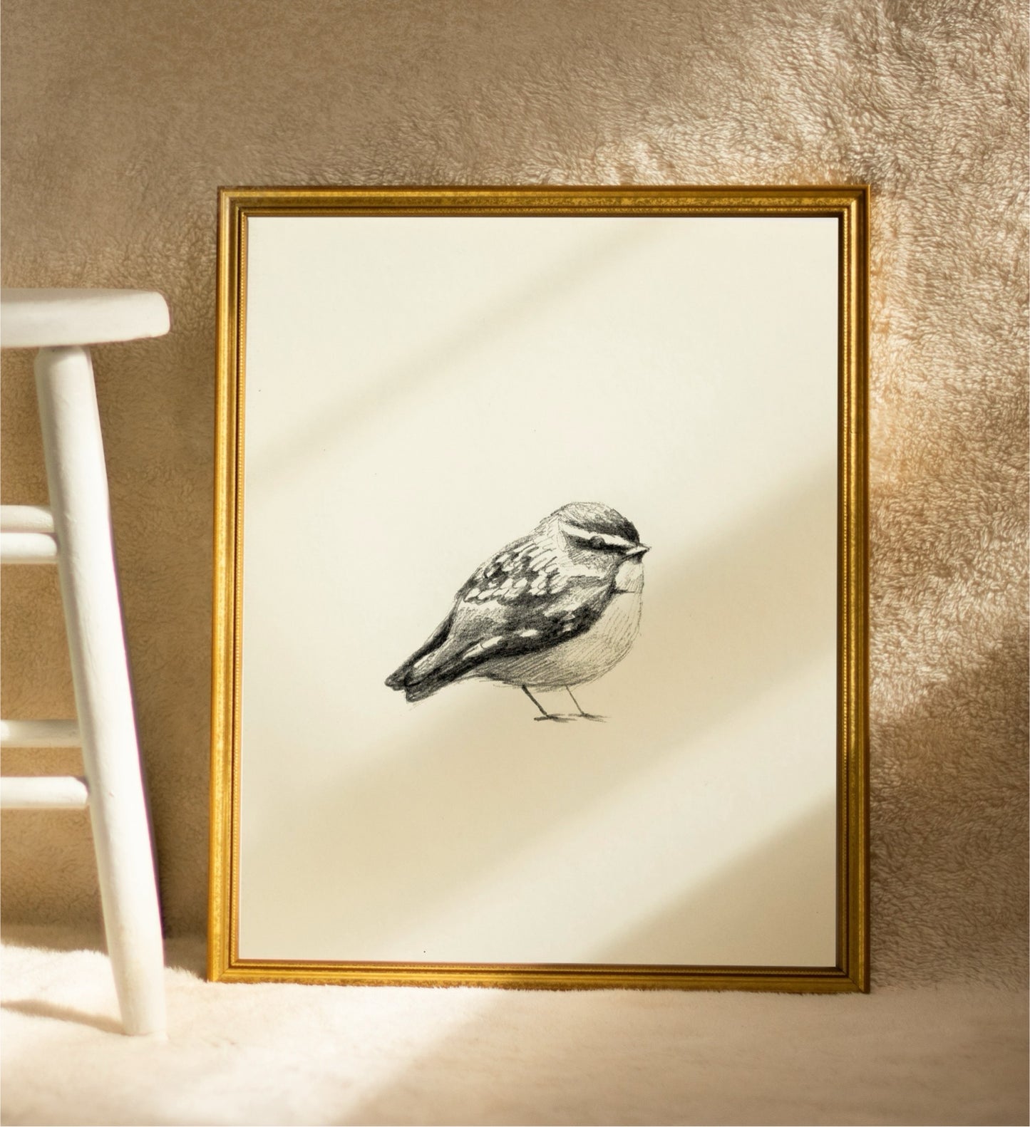 Winter Finch