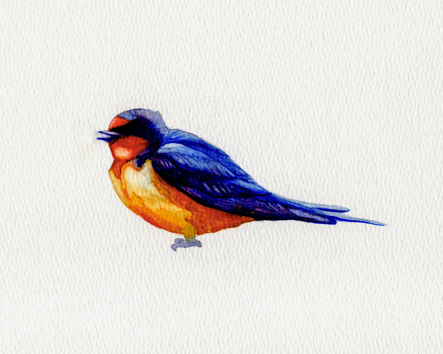 Bird in the Loft
