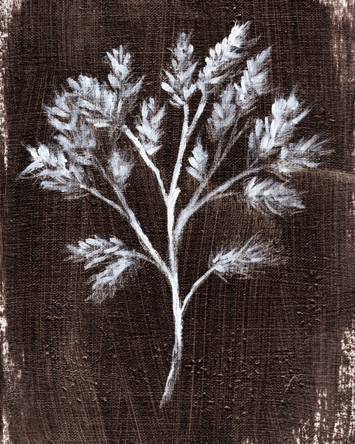 Harvest