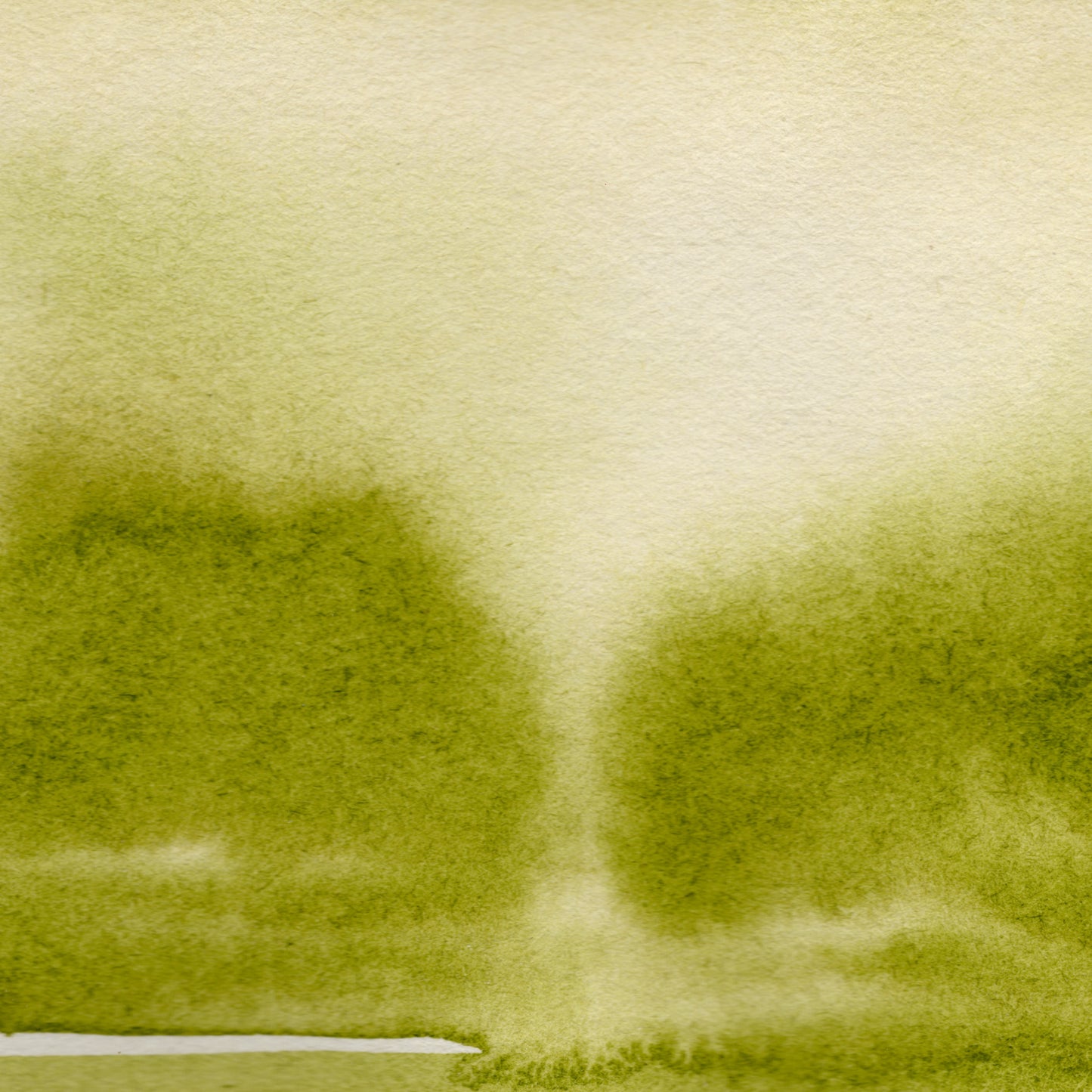 Pasture