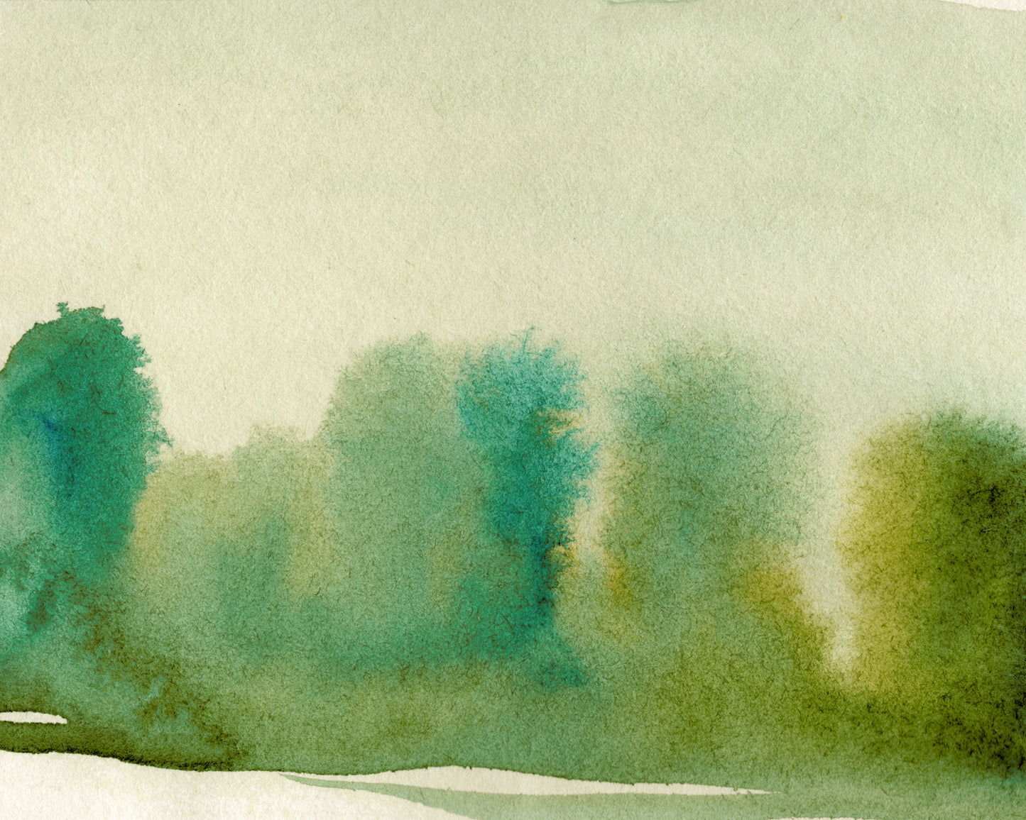 Cottonwoods