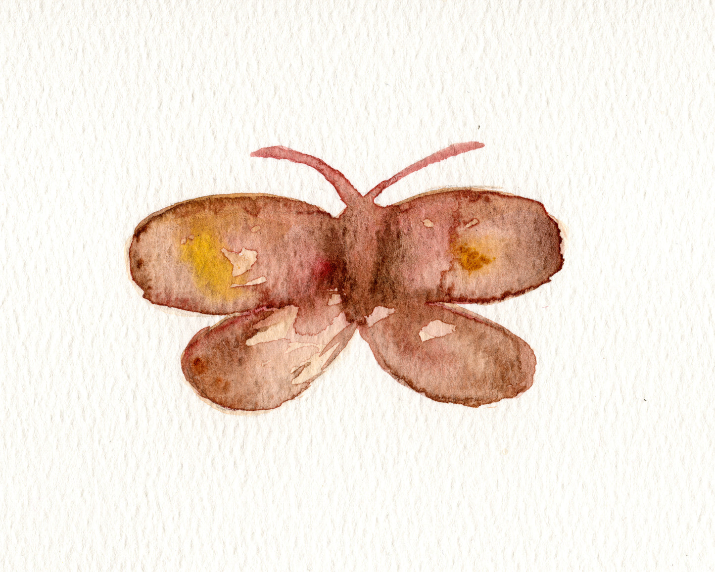 Moth I