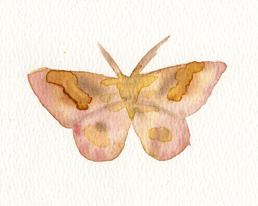 Moth II