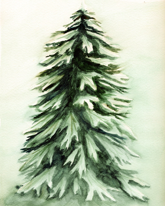 Evergreen