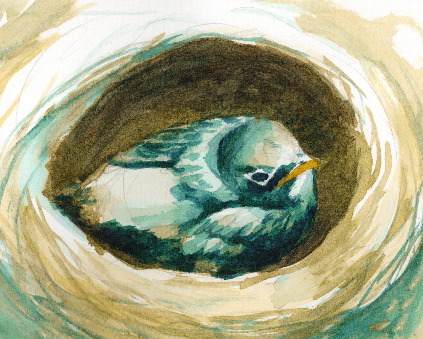 Nest