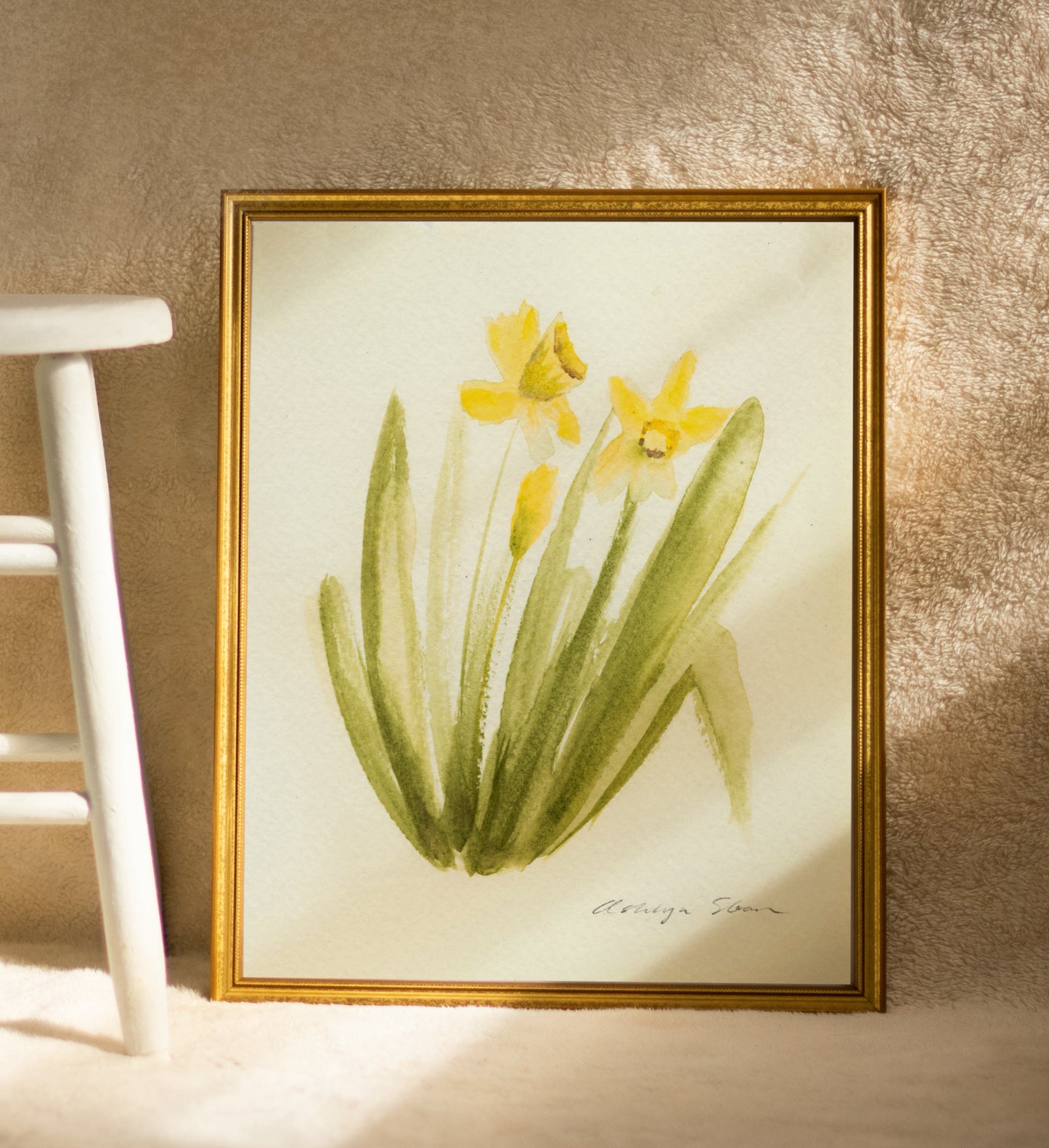 Amaryllis