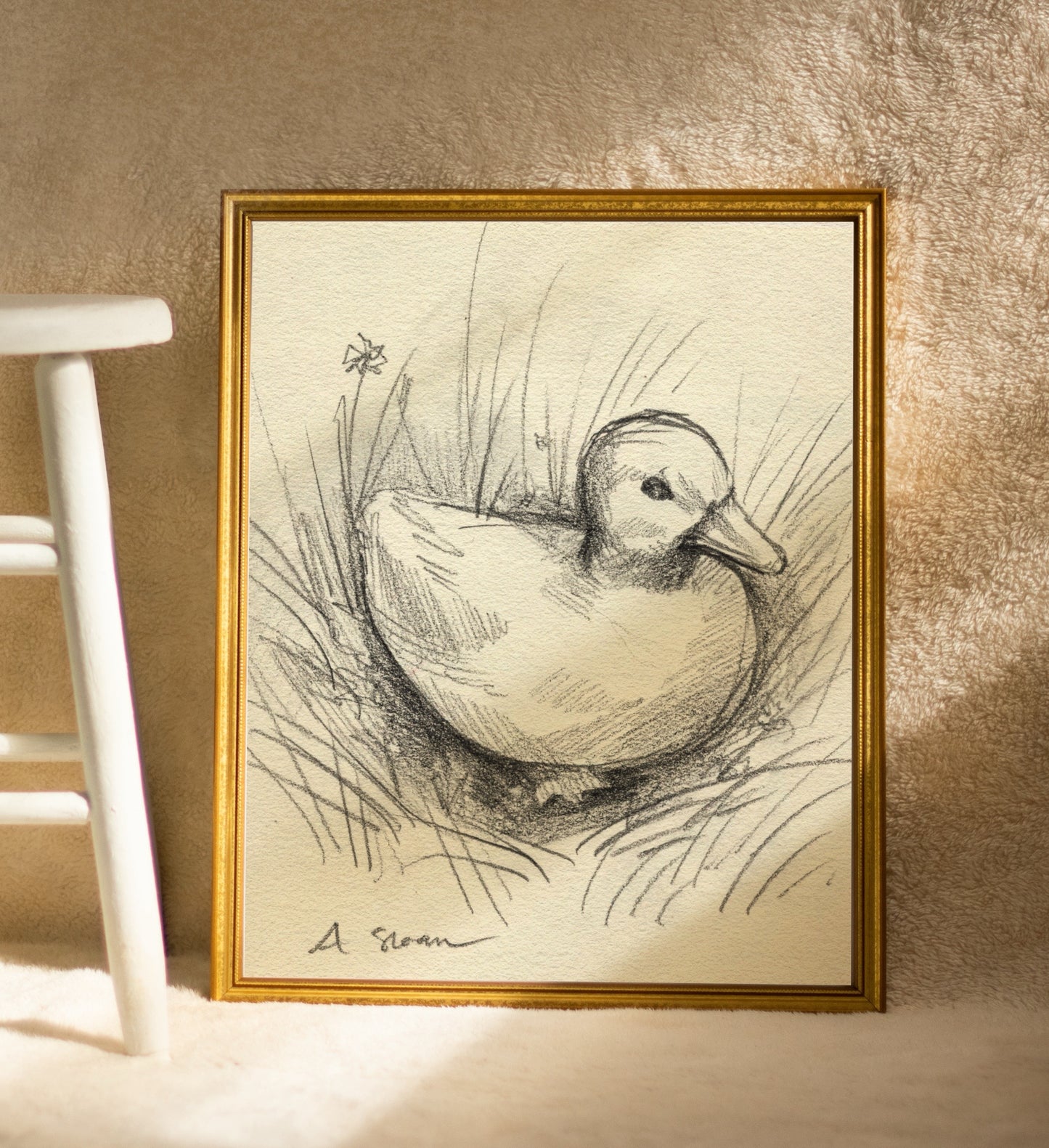 Duckling Sketch