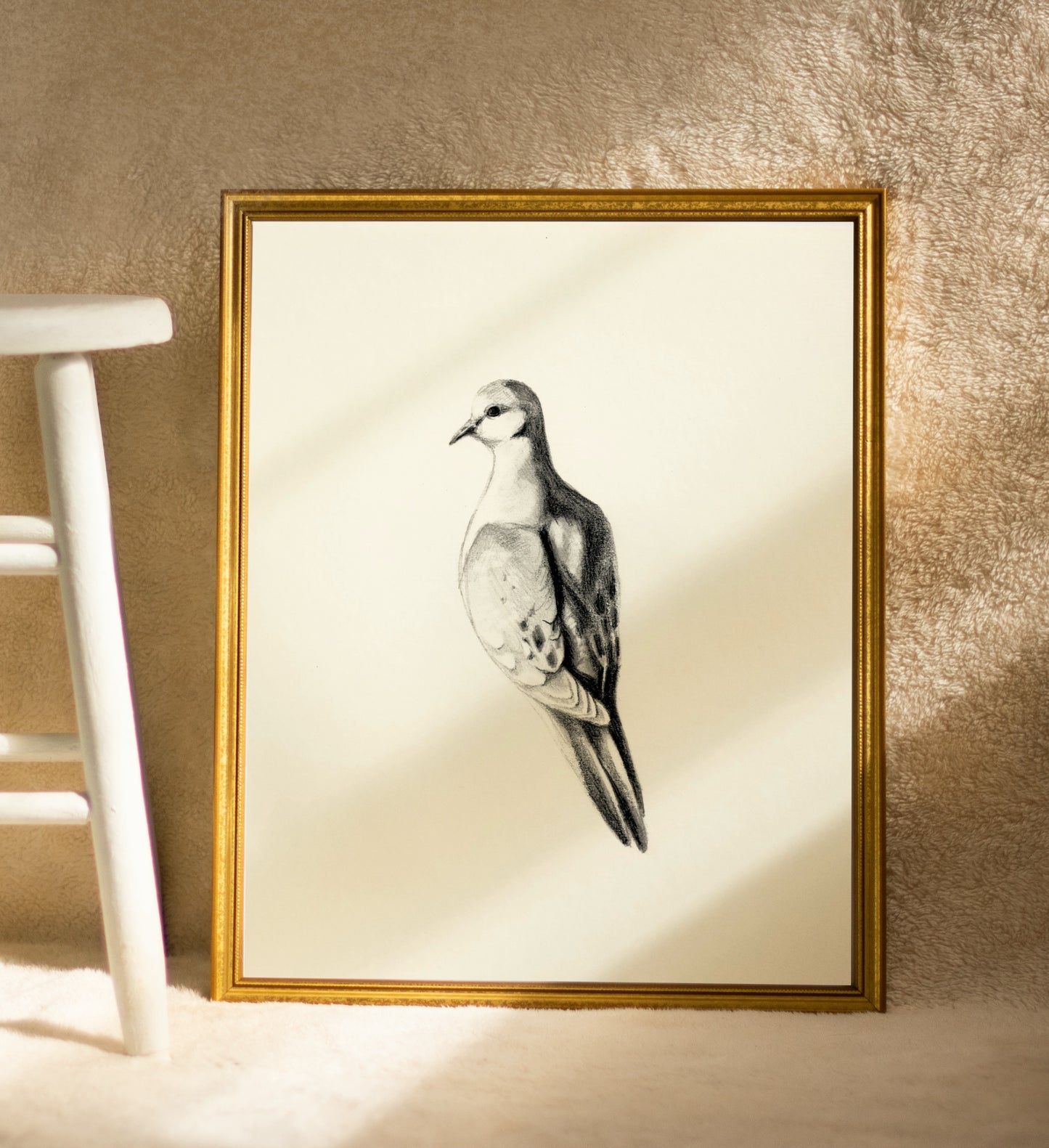 Dove