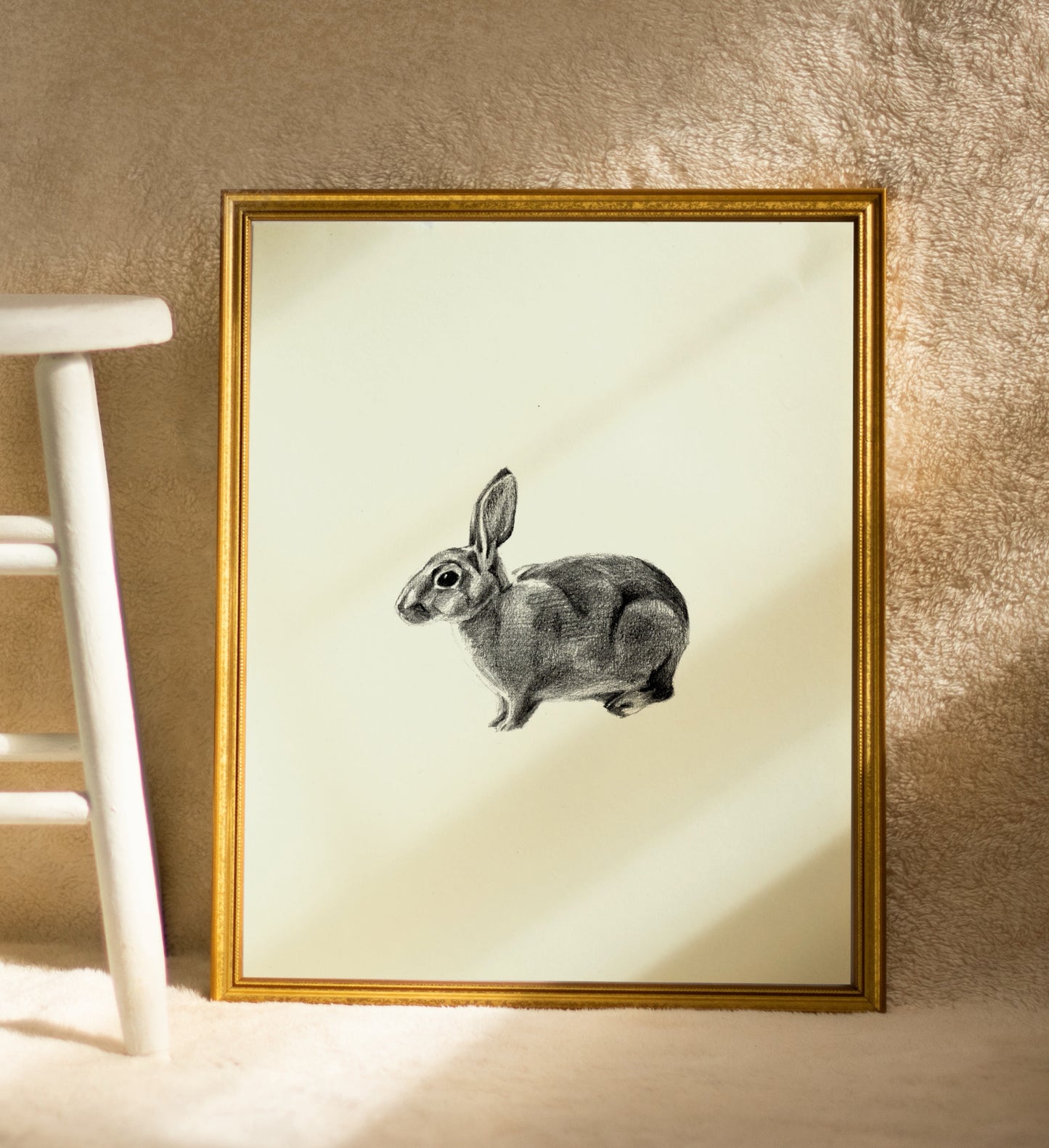 Rabbit