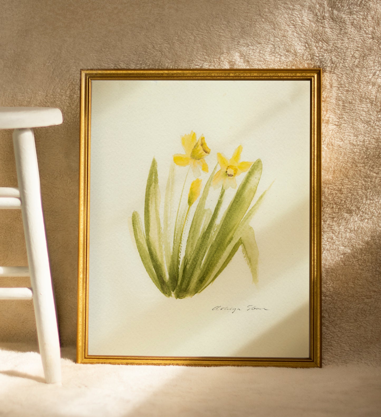 Amaryllis