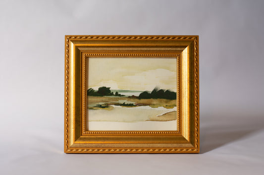 The Marsh Mini