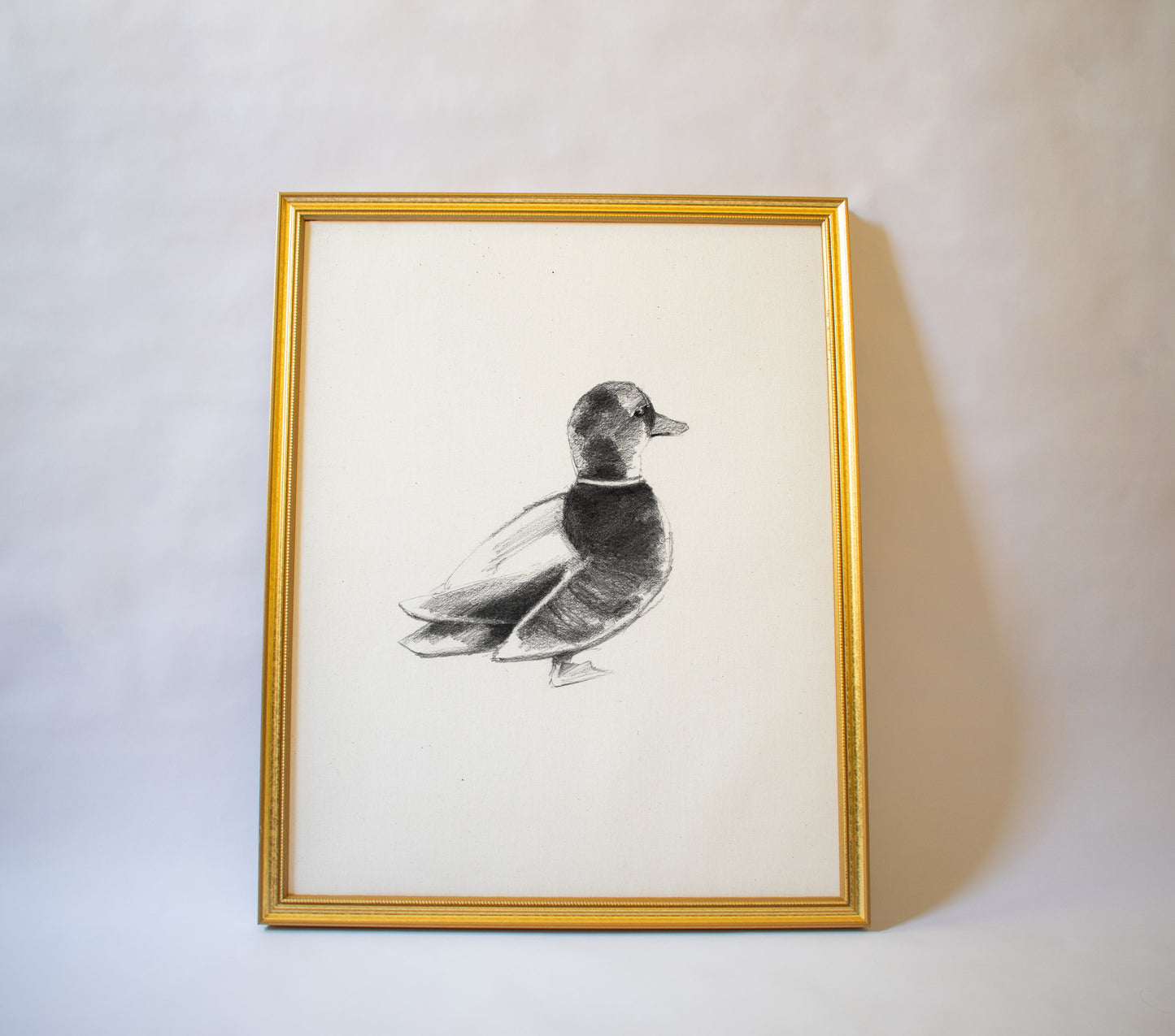 Duck Out of Water