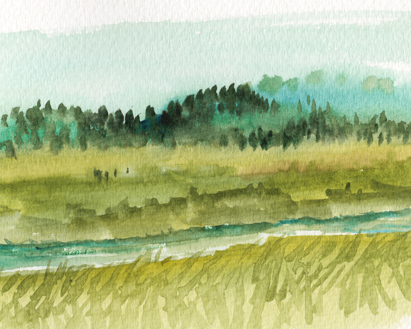 Creek Run