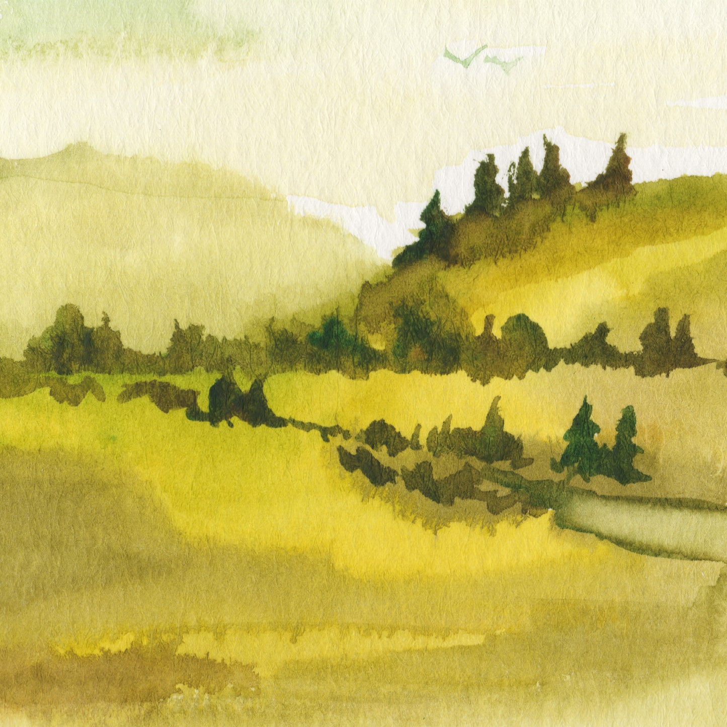 Hill Study