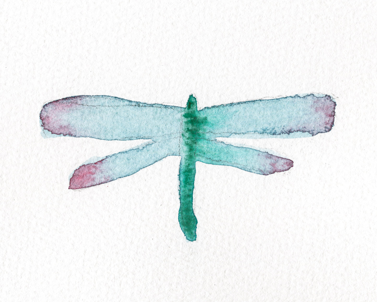 Wings Sketch IV