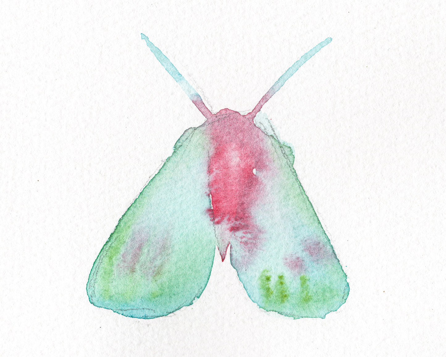 Wings Sketch I