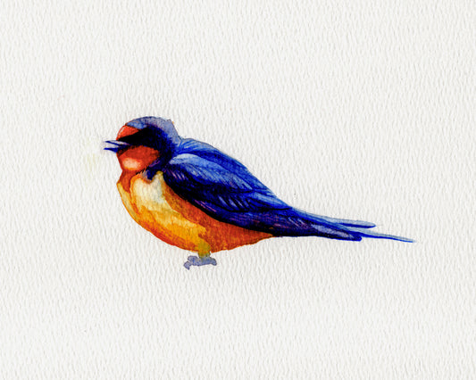Bird in the Loft