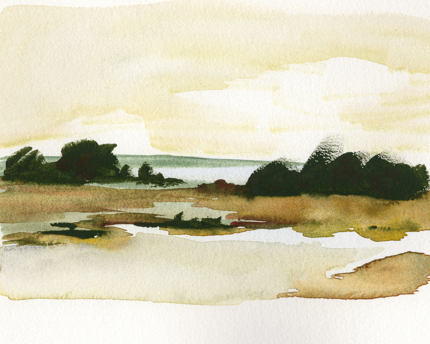 The Marsh