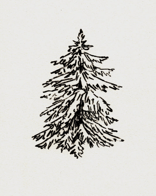 Sapling