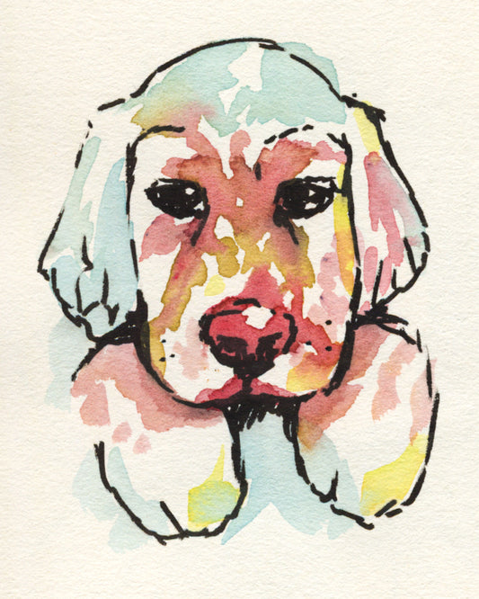 Molly