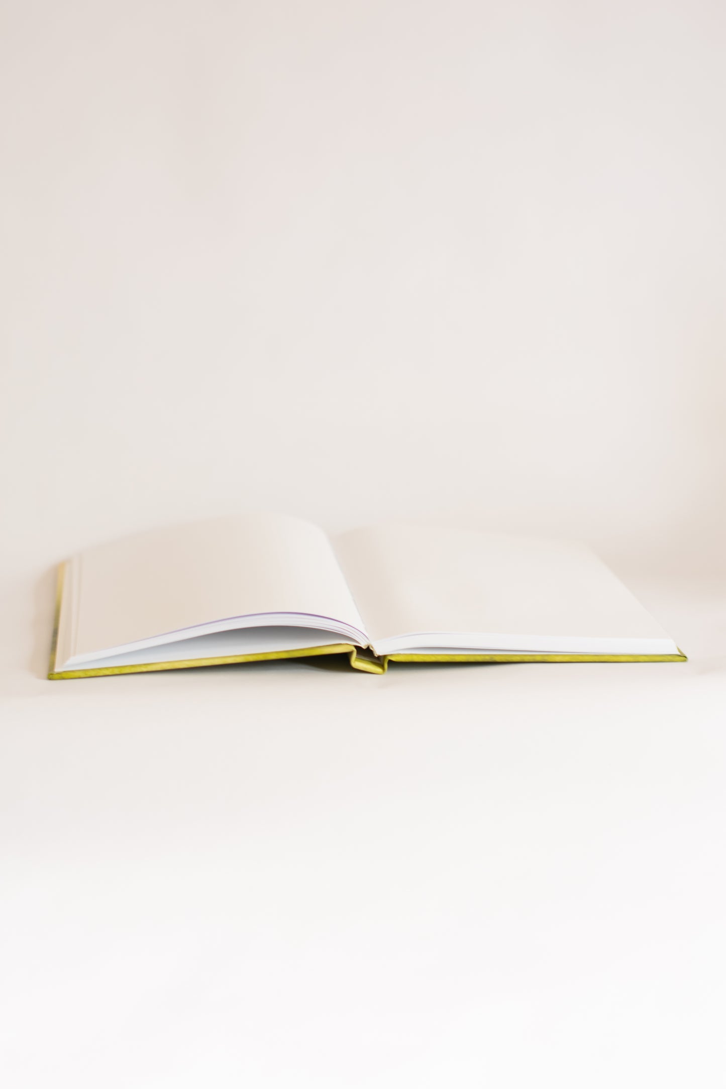 Open notebook on a white background