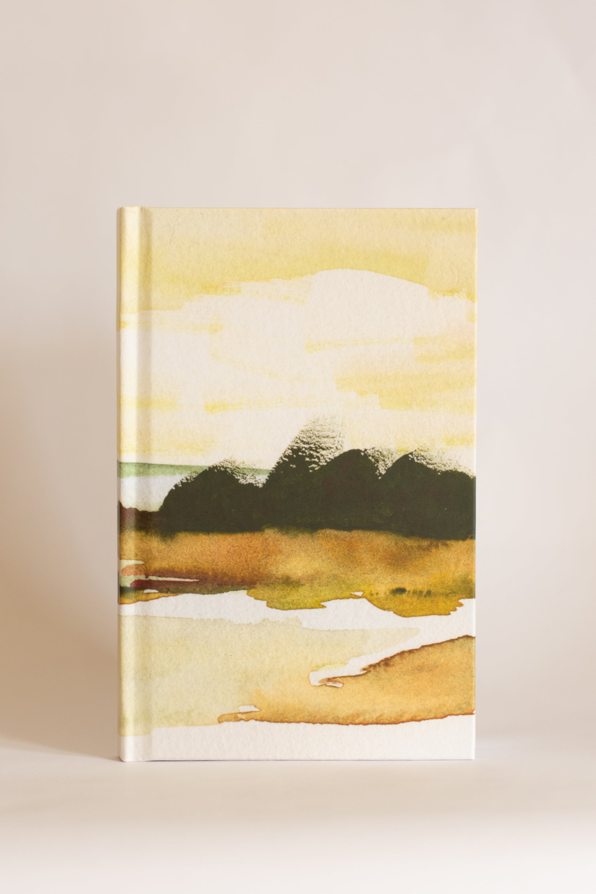 Book cover with a watercolor landscape of mountains and a lake on a beige background