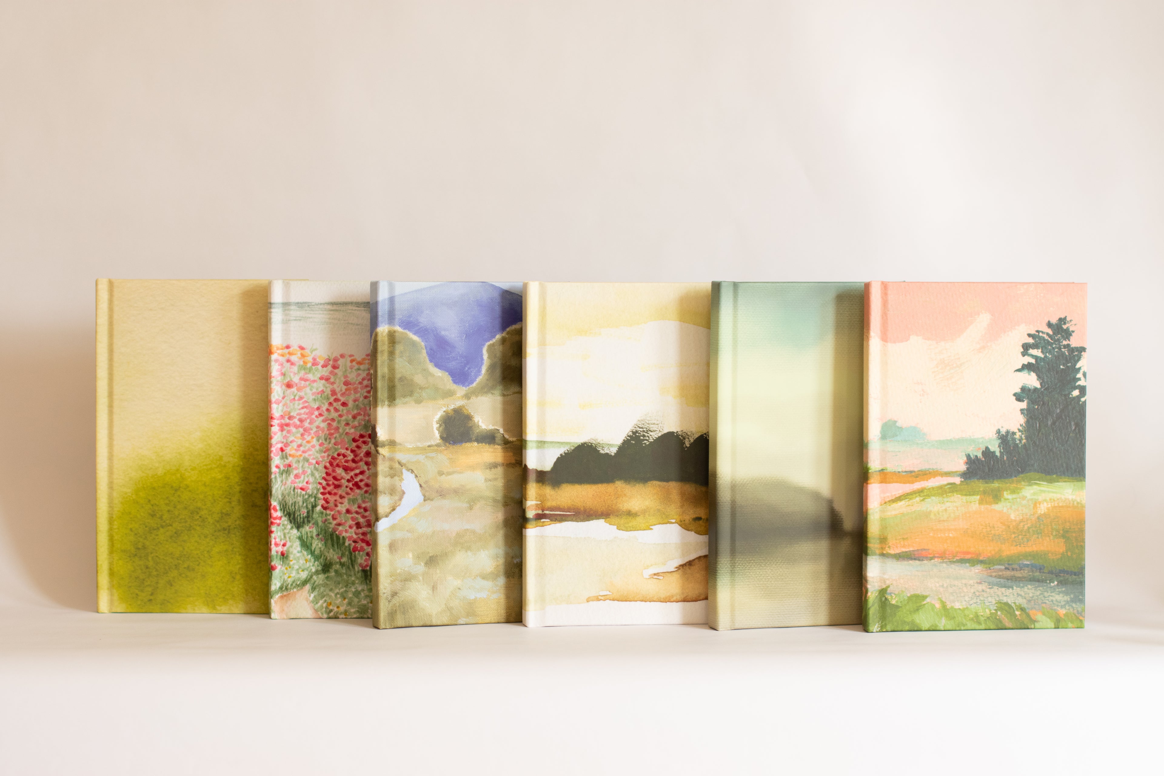 Five books with colorful landscape illustrations  on their covers, displayed on a white surface