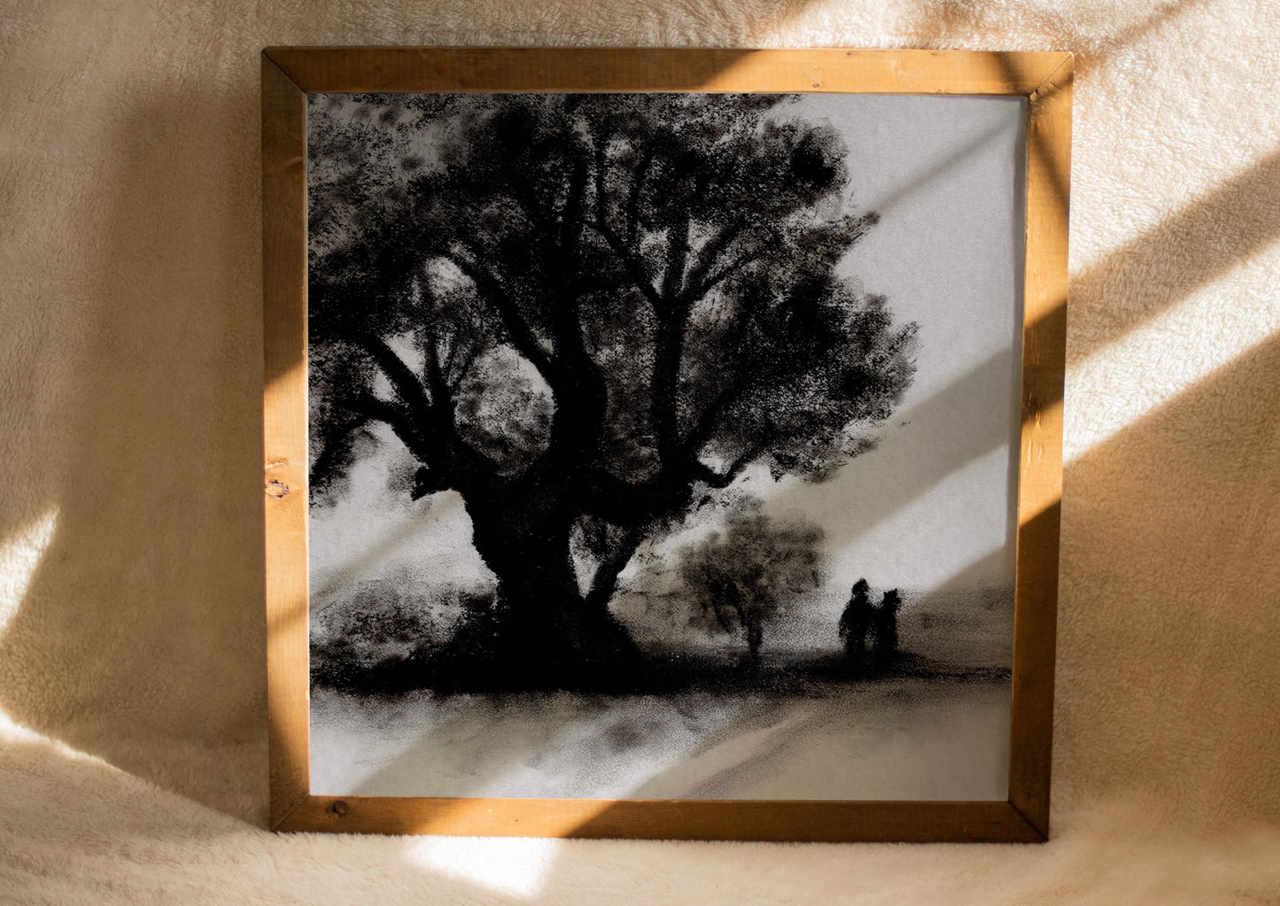 Century Oak