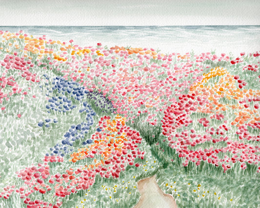 Seaside Tulips