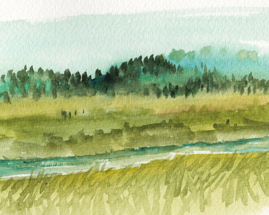 Creek Run
