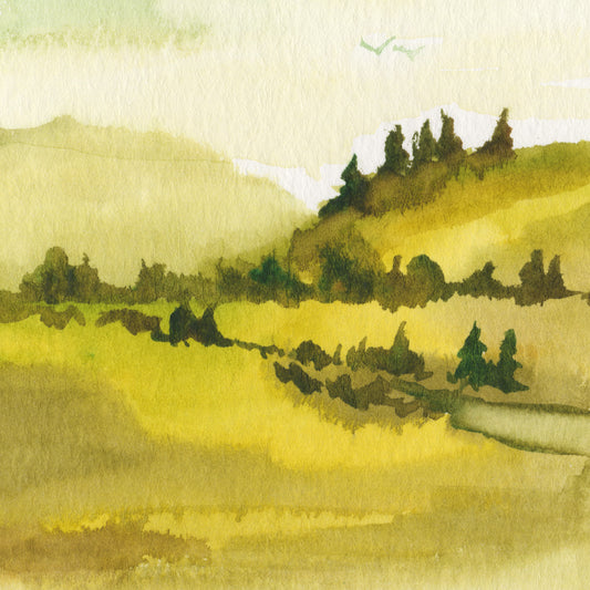 Hill Study
