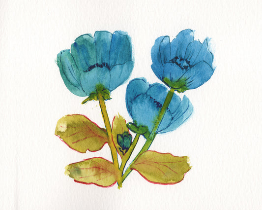 Blue Blooms