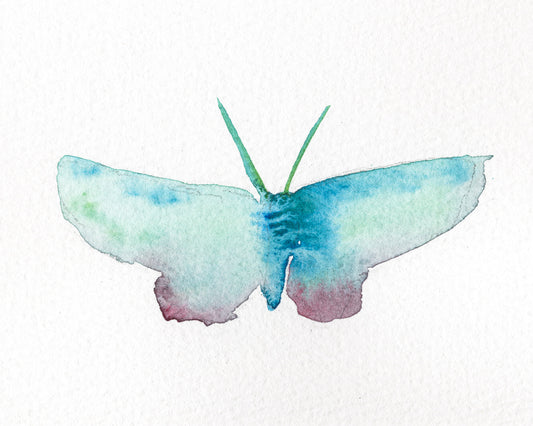 Wings Sketch II