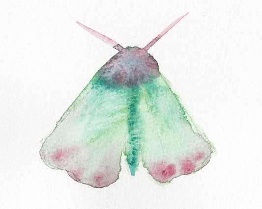 Wings Sketch III
