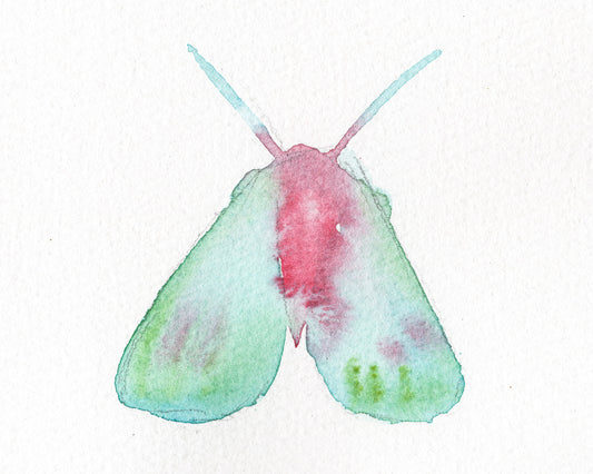 Wings Sketch I