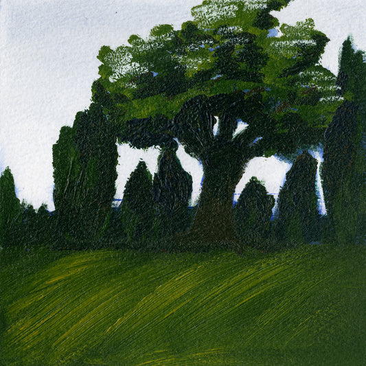 Dusk Study