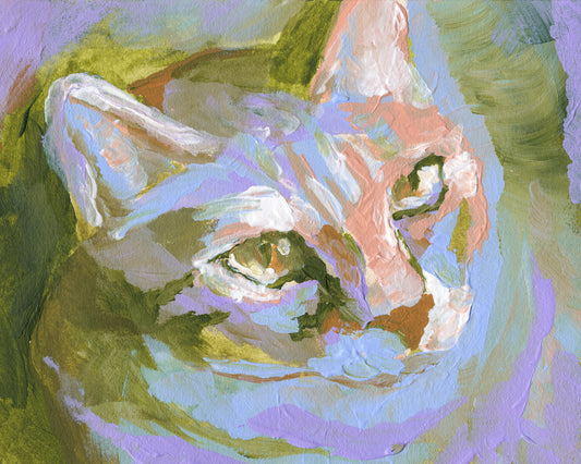 Whiskers