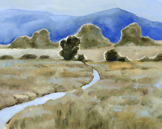 Grassland Sunrise