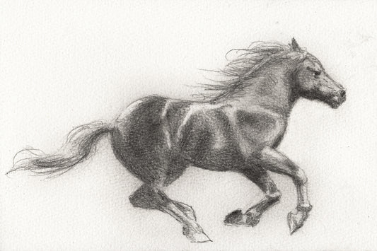 Mare