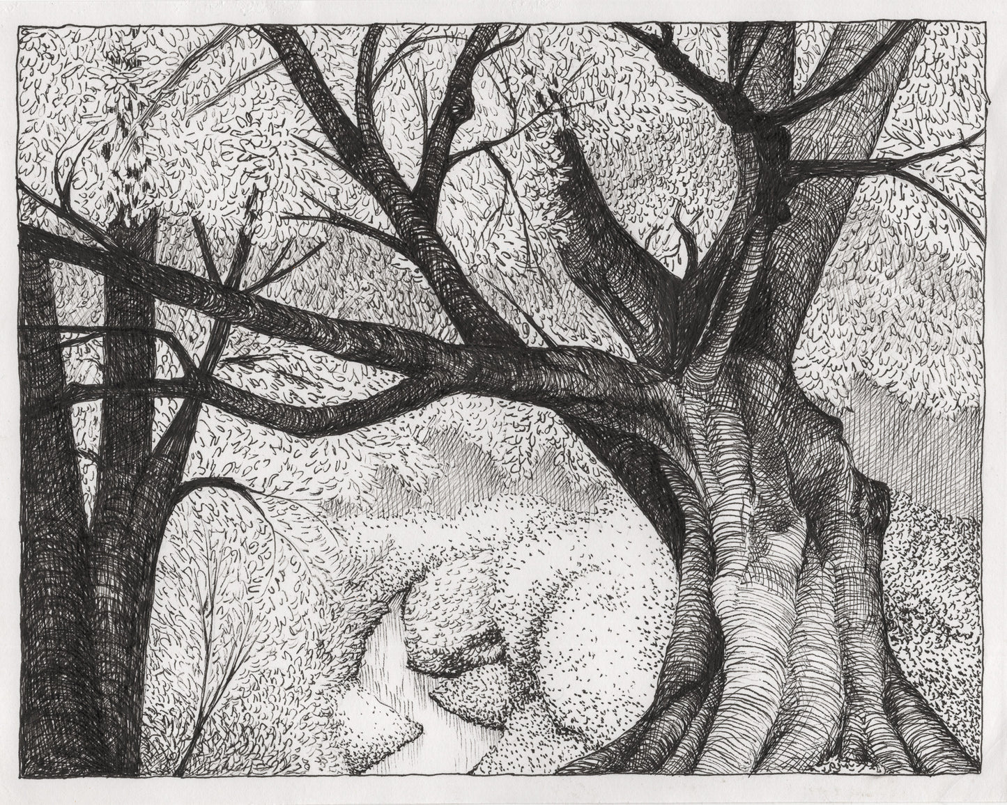Sycamore Bend