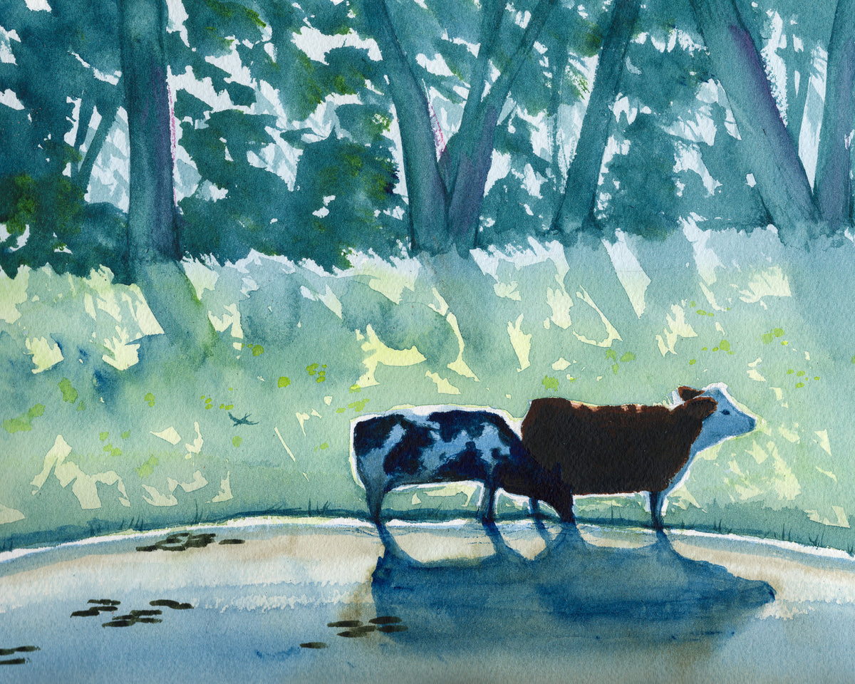Morning at the Pond