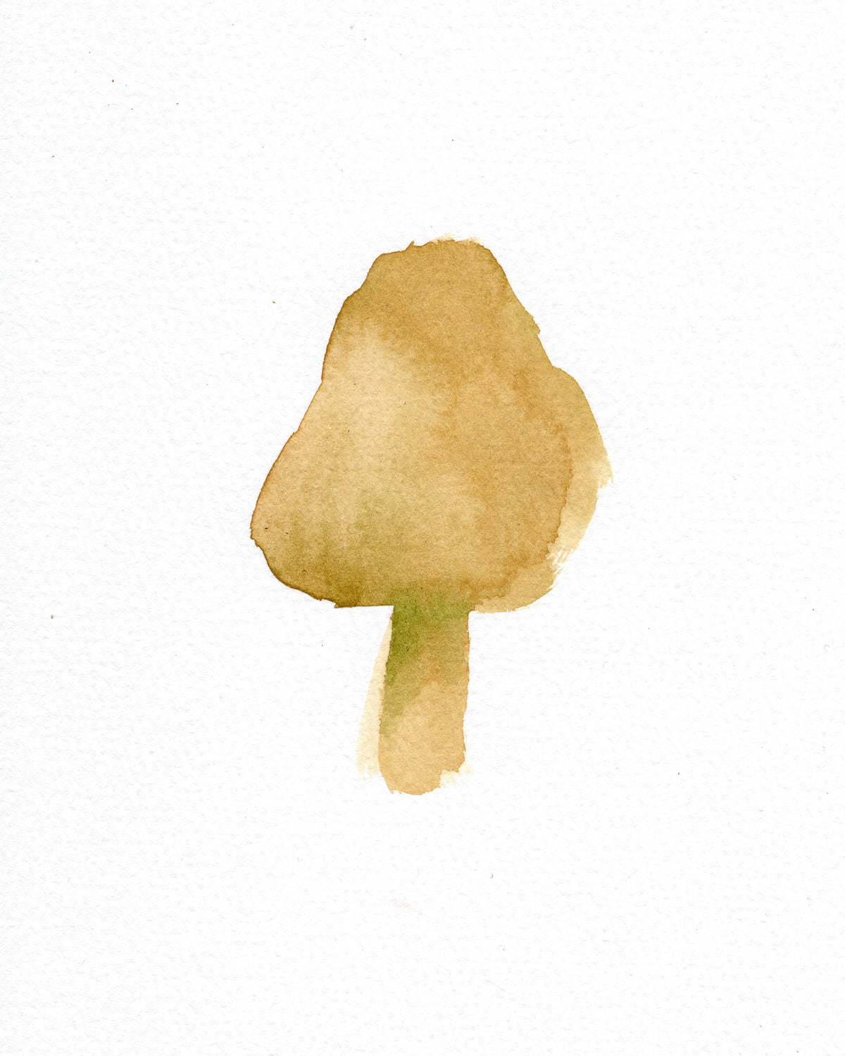 Mushroom IV